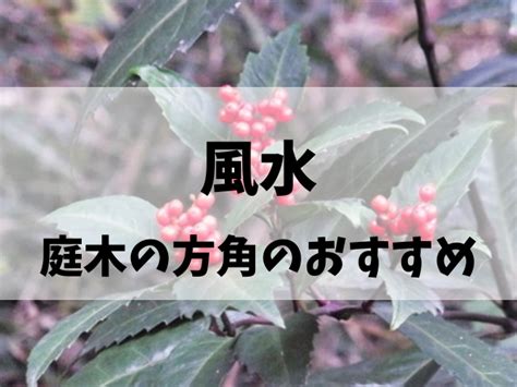 幸運木風水|風水で庭木の方角のおすすめと縁起がいい庭木の言い。